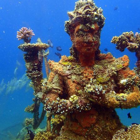 Biorock Homestay & Dive Center Pemuteran Eksteriør bilde