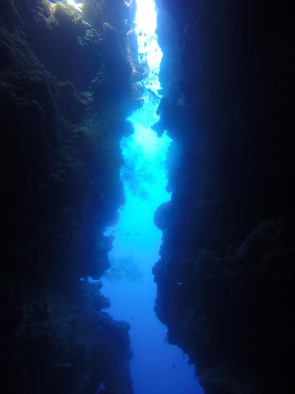 Biorock Homestay & Dive Center Pemuteran Eksteriør bilde