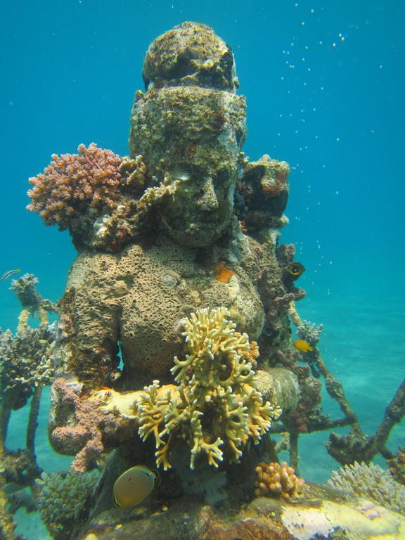 Biorock Homestay & Dive Center Pemuteran Eksteriør bilde