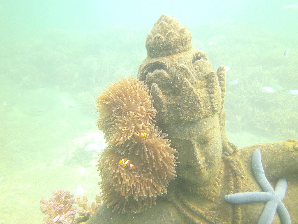 Biorock Homestay & Dive Center Pemuteran Eksteriør bilde