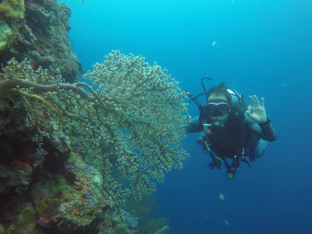 Biorock Homestay & Dive Center Pemuteran Eksteriør bilde