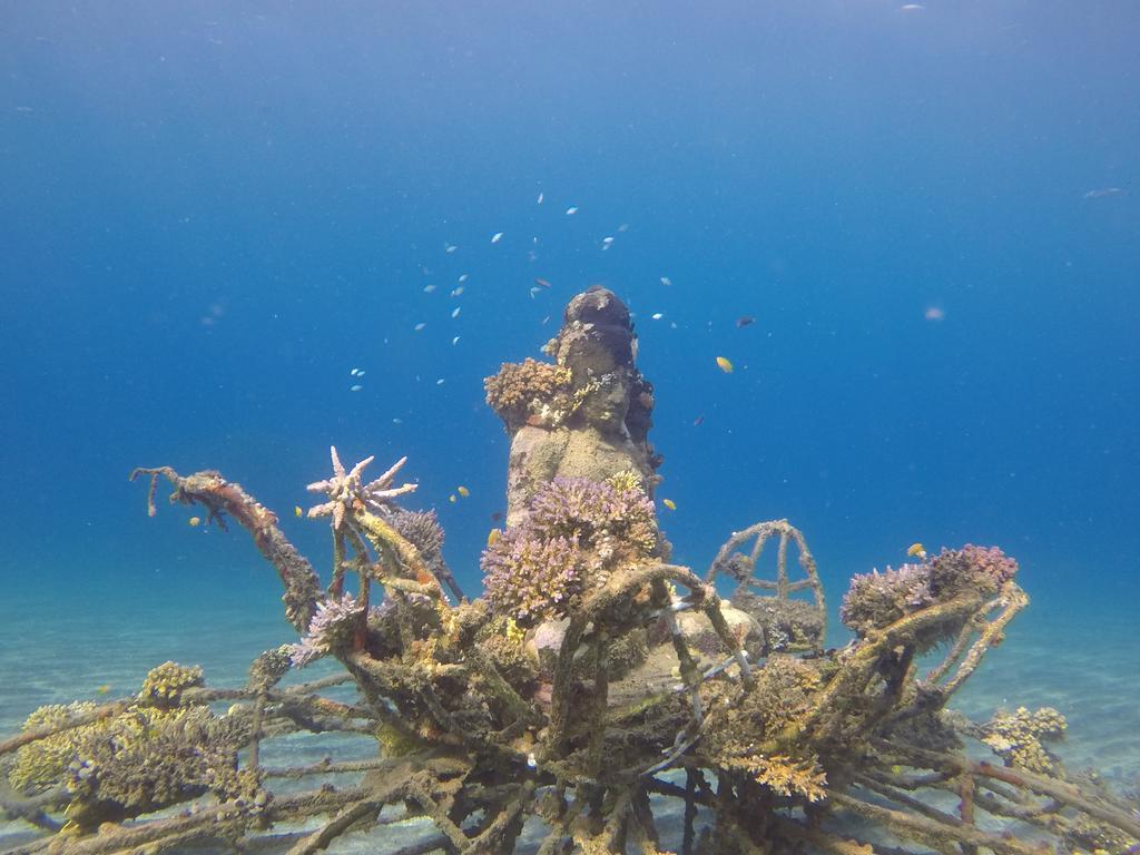 Biorock Homestay & Dive Center Pemuteran Eksteriør bilde