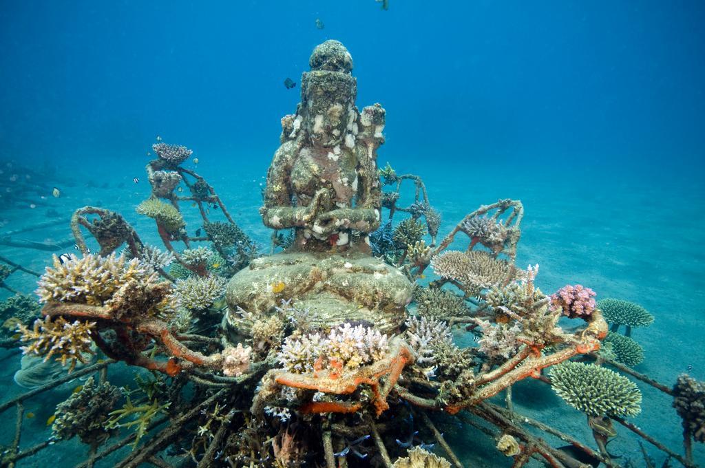 Biorock Homestay & Dive Center Pemuteran Eksteriør bilde