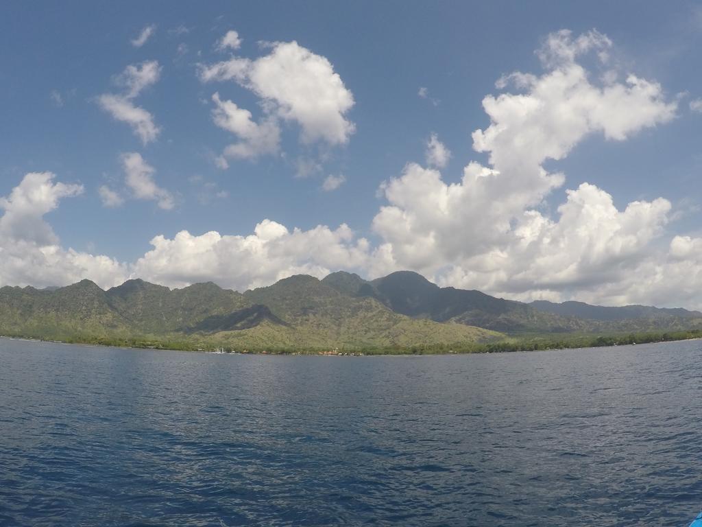 Biorock Homestay & Dive Center Pemuteran Eksteriør bilde