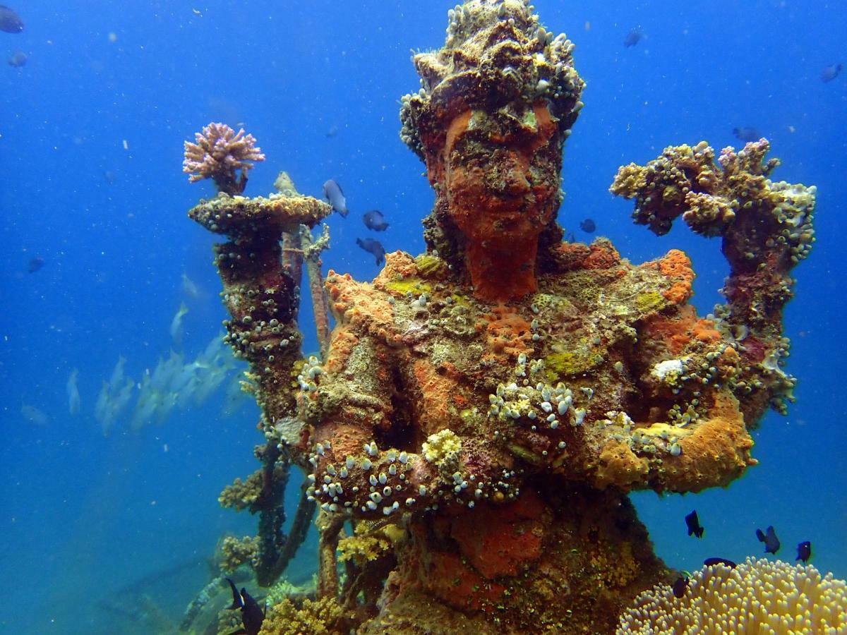 Biorock Homestay & Dive Center Pemuteran Eksteriør bilde